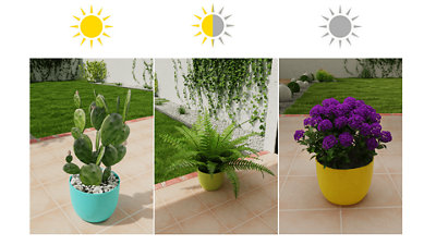 La bonne plante au bon endroit