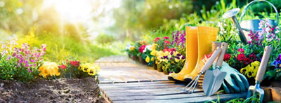 Bien démarrer le jardinage