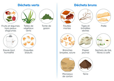 Quels déchets mettre dans le compost