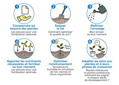 Illustration des 6 grandes étapes pour favoriser la croissance des plantes