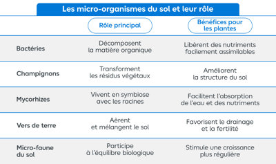 Tableau des micro-organismes du sol