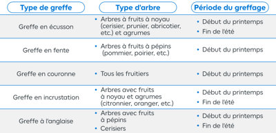 Tableau récapitulatif des périodes de greffe d'arbres fruitiers