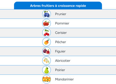 Rableau récapitulatif des arbres fruitiers à croissance rapide