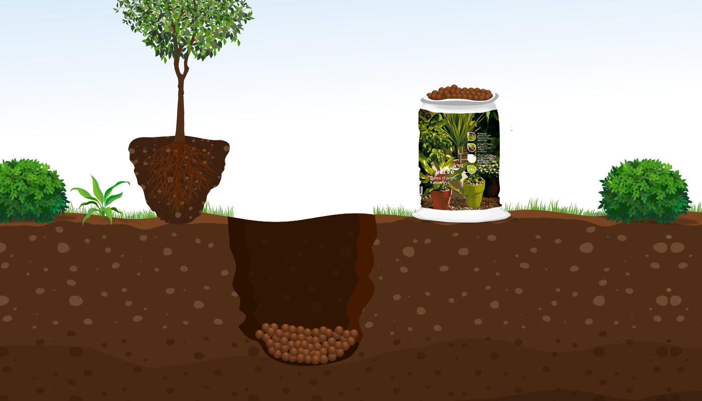 Illustration du placement de billes d'argile dans le trou creusé