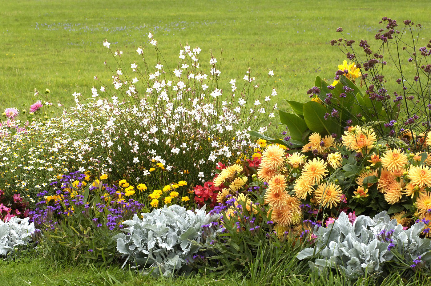 Un joli parterre de fleurs dans un jardin