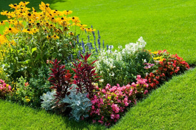 Le guide pour crer et russir votre massif de fleurs | Entretien du jardin  | Castorama.fr