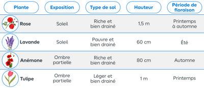 Tableau récapitulatif des fleurs les plus présentes dans les jardins
