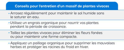 Récapitulatif des conseils d'entretien d'un massif de fleurs