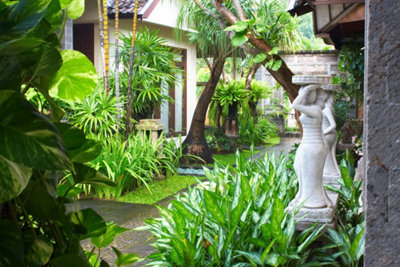 Le jardin exotique