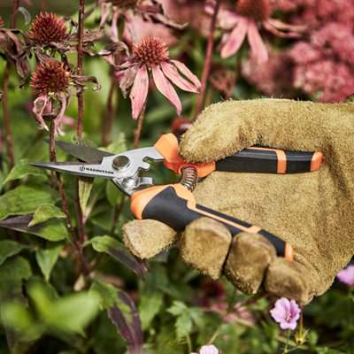 Des ciseaux de jardin taille une tige de fleur