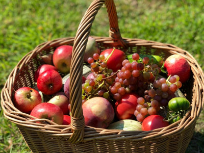 Panier plein de fruits