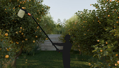 Utilisation d'un cueille-fruit télescopique