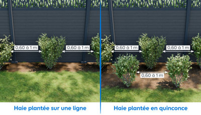Schéma des espacements entre les massifs