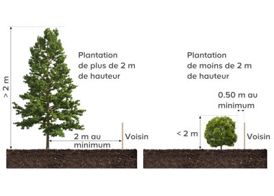 Distance entre limite de propriété et haie végétale