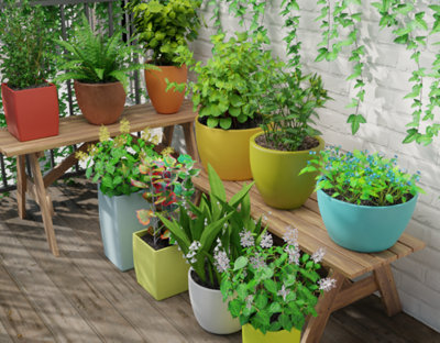 Choisir des plantes pour les balcons ombragés