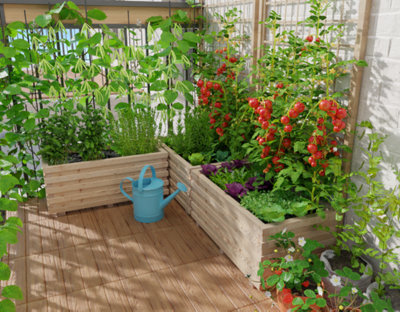 Les légumes verticaux