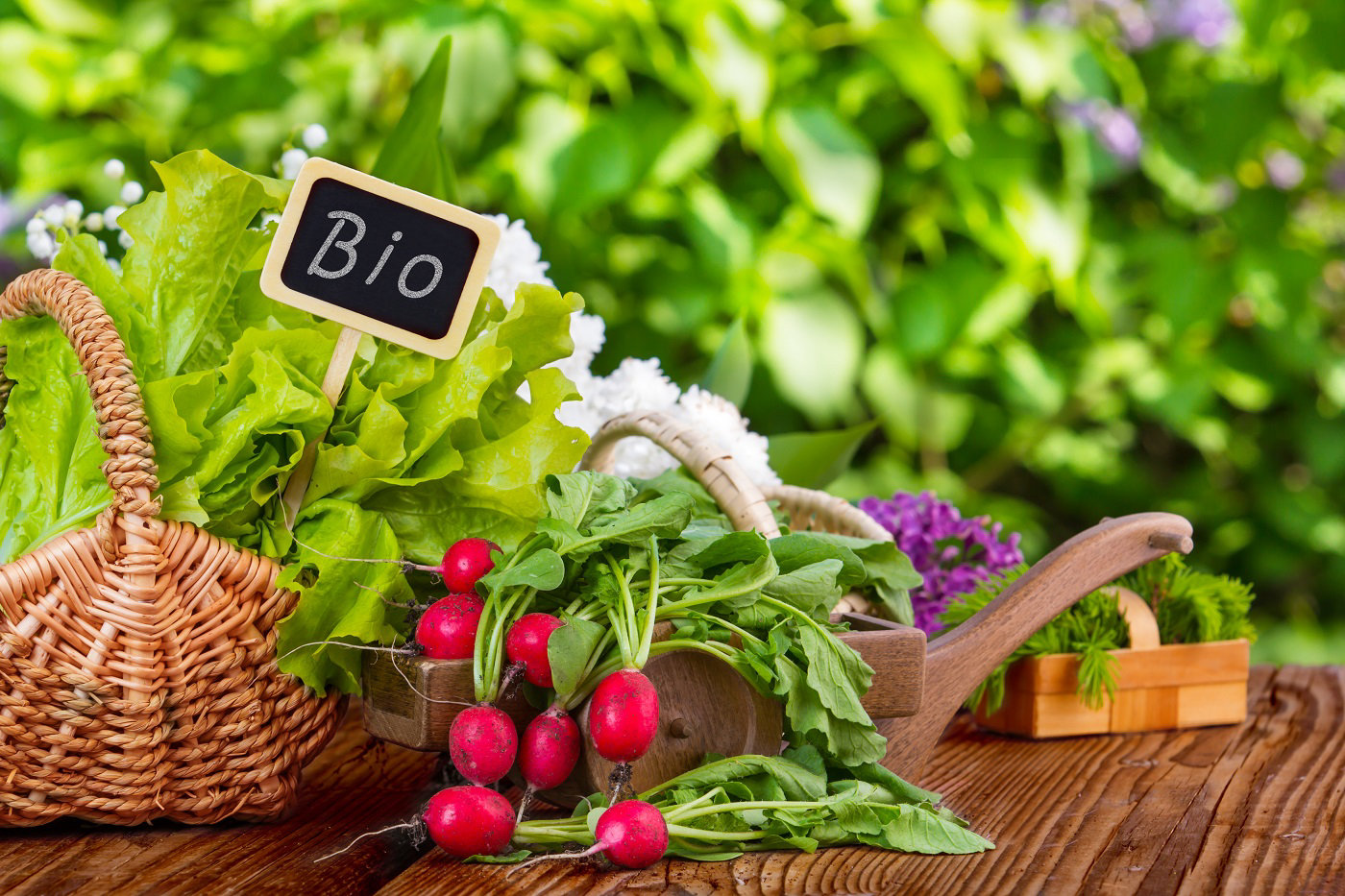 Photo d'un panier de légumes bio sur une table en bois