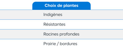 Tableau récapitulatif du choix de plantes
