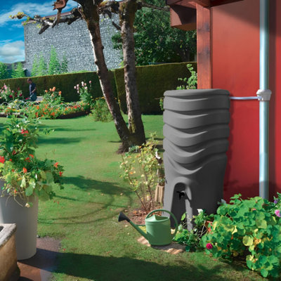 Image d'un récupérateur d'eau dans un jardin avec un arrosoir prêt à être rempli