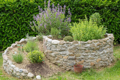 Photo d'un potager naturel