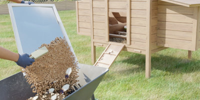 Quand changer la litière des poules ?