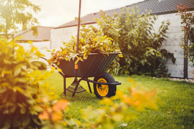 Photo d'une brouette au milieu d'un jardin