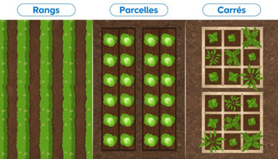 Jardin en rang ou potager en carré