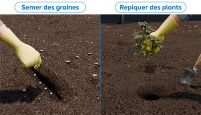 potager