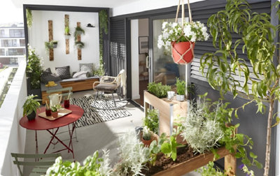 Des plantes aromatiques simples à cultiver au potager ou sur un balcon
