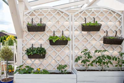 Comment cultiver un potager vertical en permaculture ?