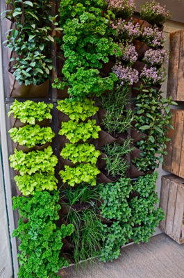 La conception du potager vertical