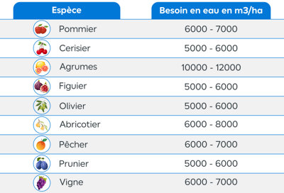 Tableau récapitulatif des arbres fruitiers selon leur besoin en eau