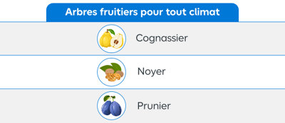 Tableau récapitulatif des arbres fruitiers compatibles tous climats