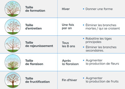 5 types de taille des végétaux