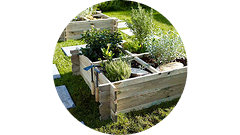 Carré potager