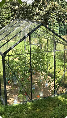 Serre de jardin en verre