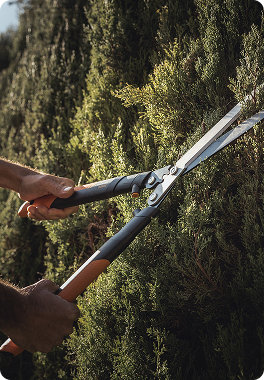 image d'Outils de taille