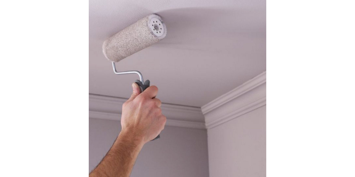 Peindre Plafond Castorama