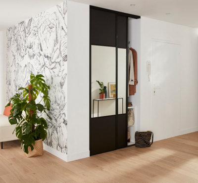 Portes de placard dans une entrée avec un miroir