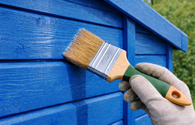 Passage d"une couche de vernis sur un abri de jardin peint