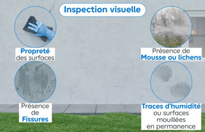Zoom inspection visuelle mur propreté, mousse, fissures et humidité