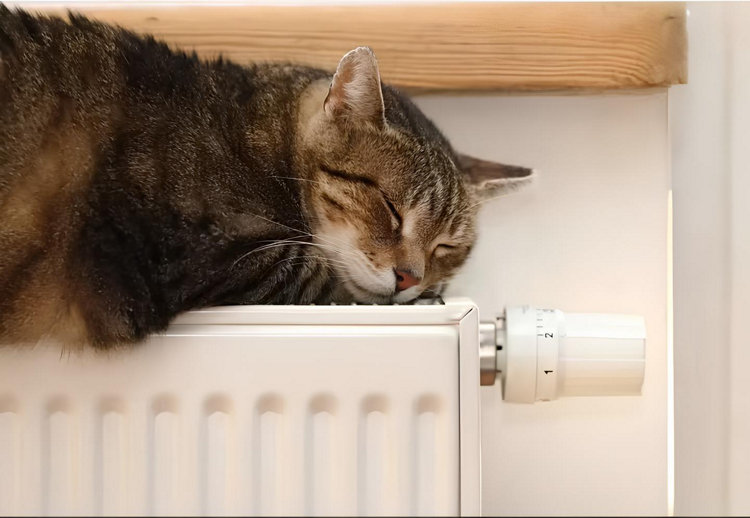 Un chat s'endort sur un radiateur
