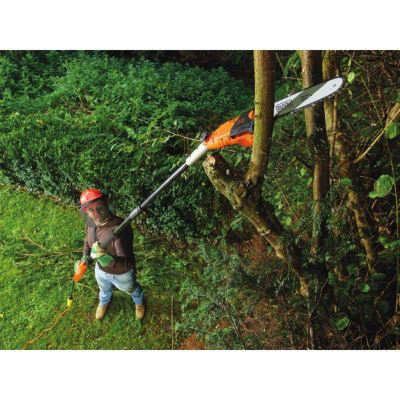 Quels outils pour élaguer