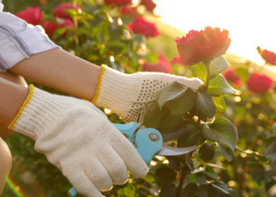 Gants de manutentionnaire en cuir​