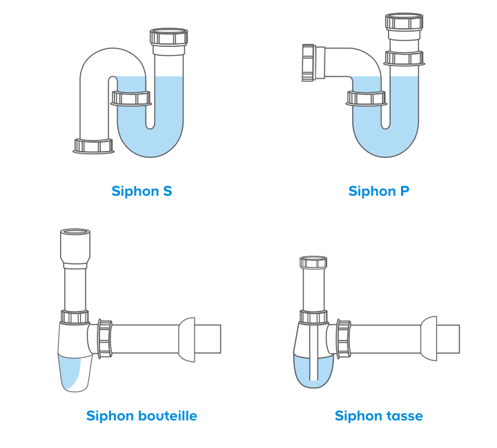 Schéma siphon en S, P, bouteille et tasse