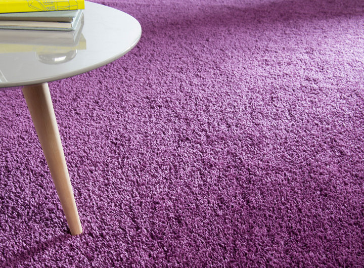 moquette violette