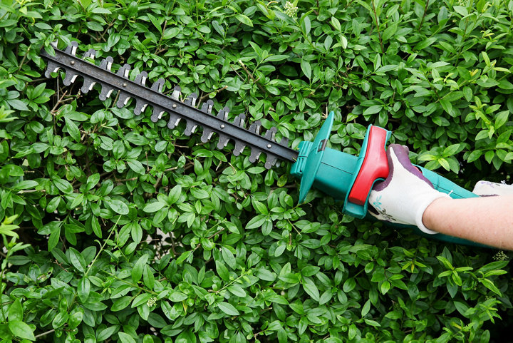 Les outils de coupe pour le jardinage