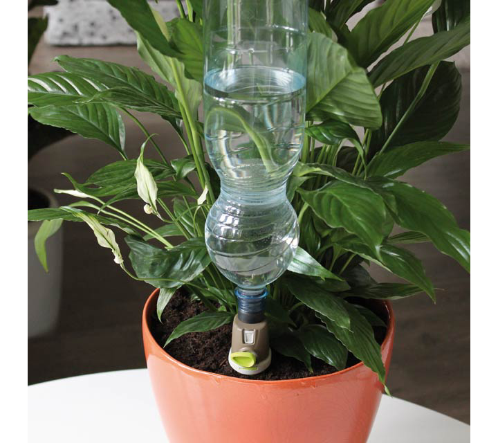 L’arrosage goutte à goutte, la juste quantité​