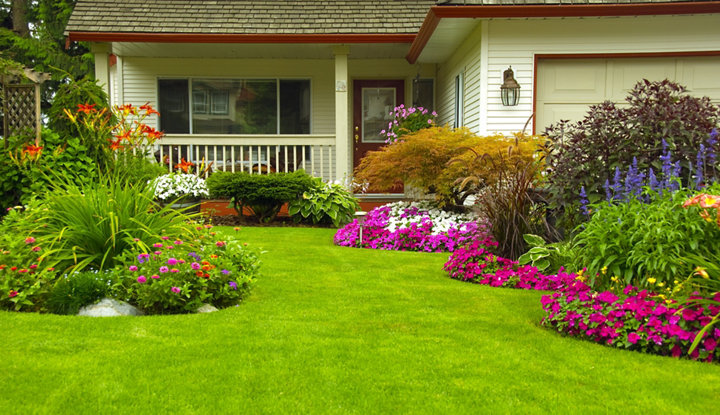 Gazon avec parcelle de fleurs devant une maison