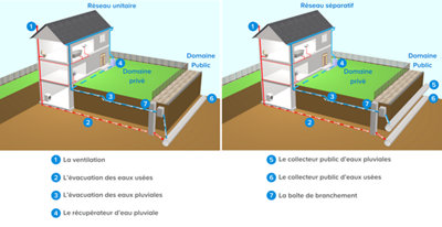 schema